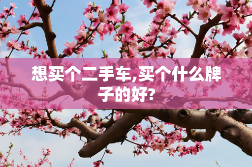 想买个二手车,买个什么牌子的好?