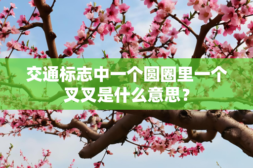 交通标志中一个圆圈里一个叉叉是什么意思？