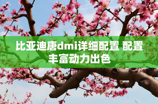 比亚迪唐dmi详细配置 配置丰富动力出色