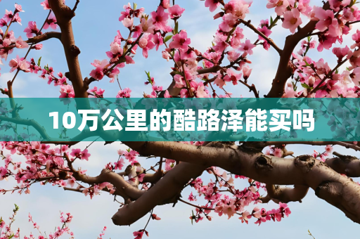 10万公里的酷路泽能买吗
