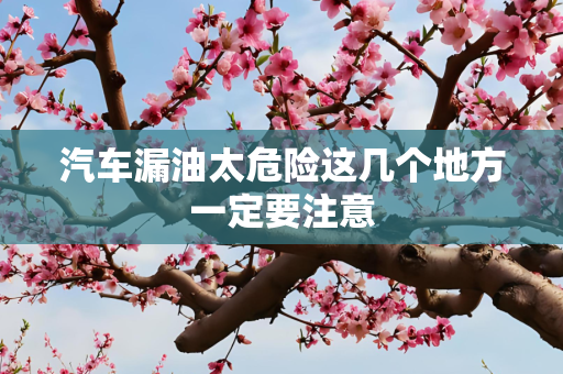 汽车漏油太危险这几个地方一定要注意