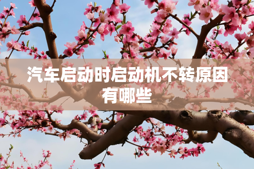 汽车启动时启动机不转原因有哪些