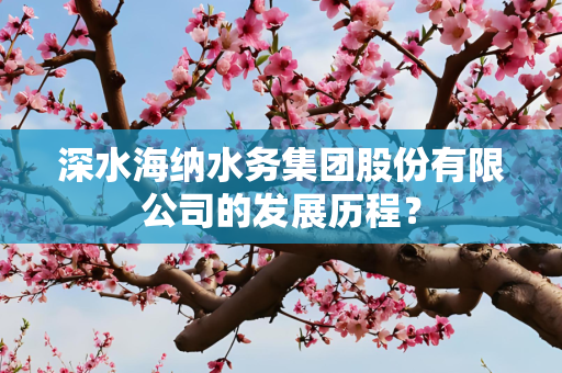 深水海纳水务集团股份有限公司的发展历程？