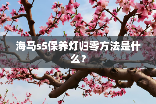海马s5保养灯归零方法是什么？