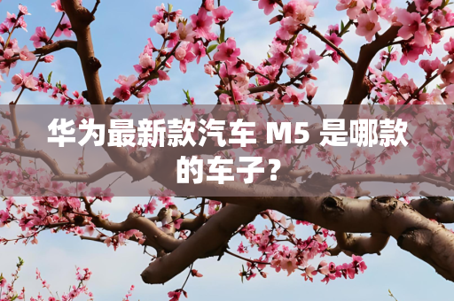 华为最新款汽车 M5 是哪款的车子？