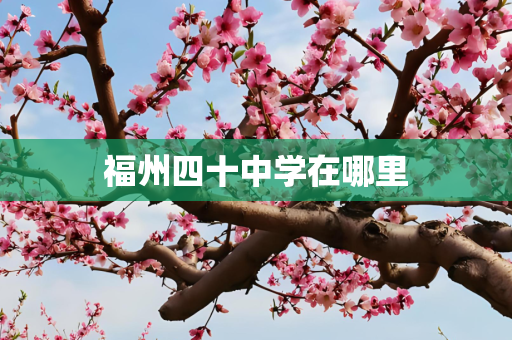 福州四十中学在哪里