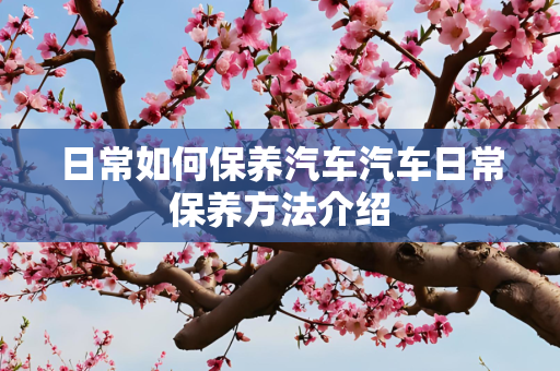 日常如何保养汽车汽车日常保养方法介绍