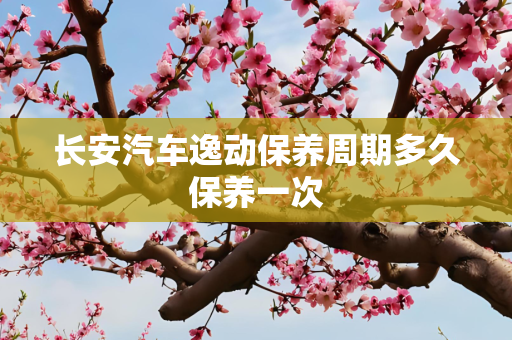长安汽车逸动保养周期多久保养一次