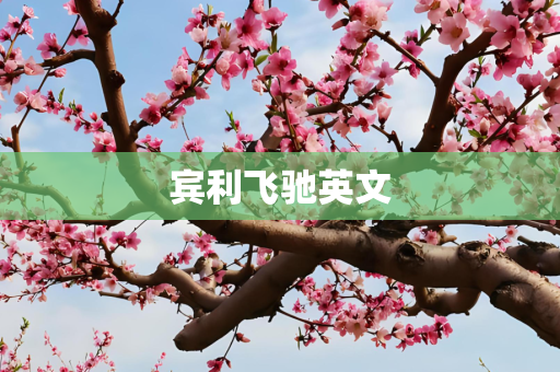 宾利飞驰英文
