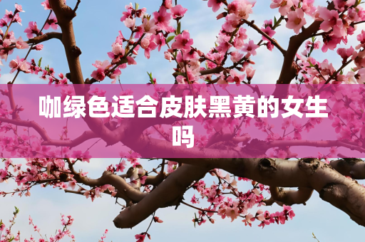 咖绿色适合皮肤黑黄的女生吗