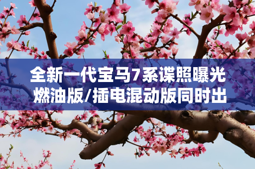 全新一代宝马7系谍照曝光 燃油版/插电混动版同时出现