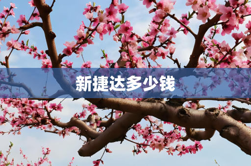 新捷达多少钱