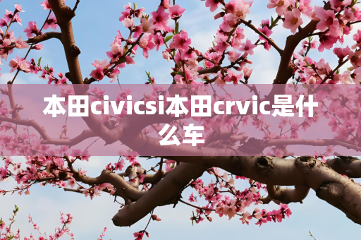 本田civicsi本田crvic是什么车