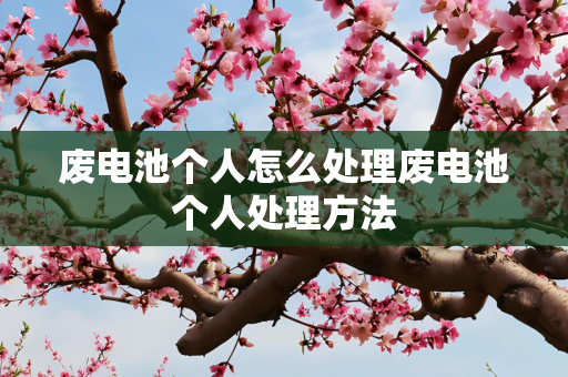 废电池个人怎么处理废电池个人处理方法