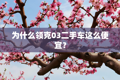 为什么领克03二手车这么便宜？