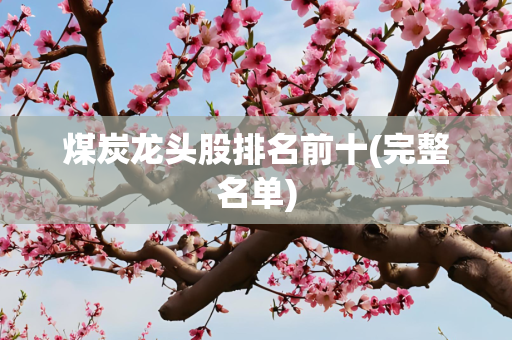 煤炭龙头股排名前十(完整名单)
