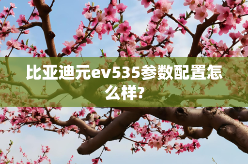 比亚迪元ev535参数配置怎么样?