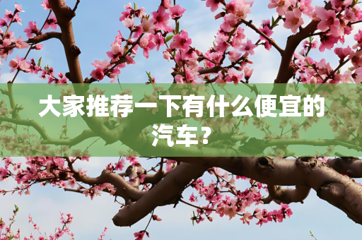 大家推荐一下有什么便宜的汽车？