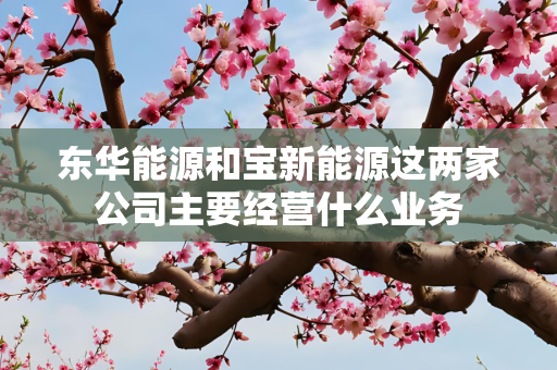 东华能源和宝新能源这两家公司主要经营什么业务