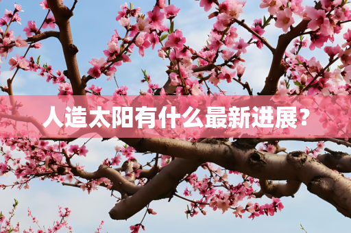 人造太阳有什么最新进展？