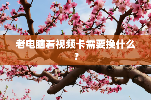 国际 第279页