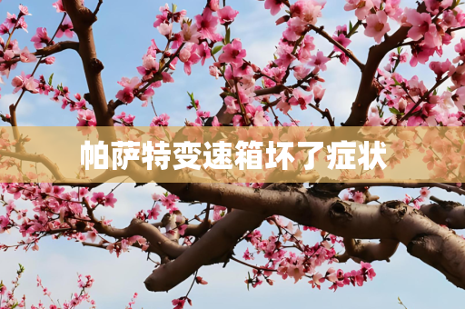 帕萨特变速箱坏了症状