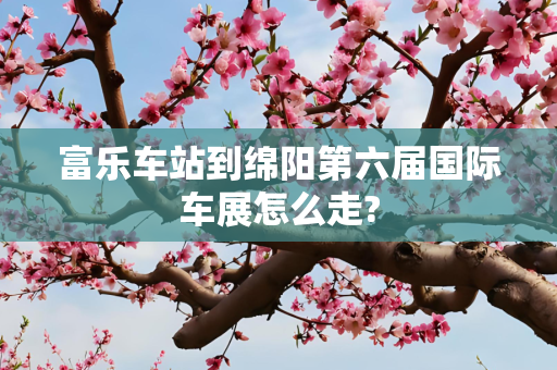 富乐车站到绵阳第六届国际车展怎么走?