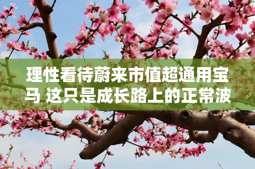 理性看待蔚来市值超通用宝马 这只是成长路上的正常波动