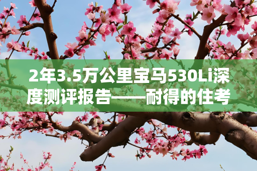 信息 第271页