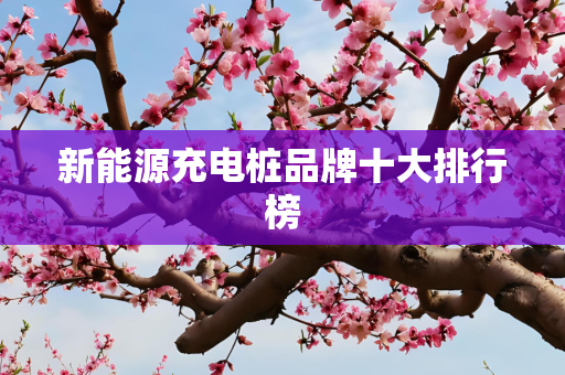 新能源充电桩品牌十大排行榜