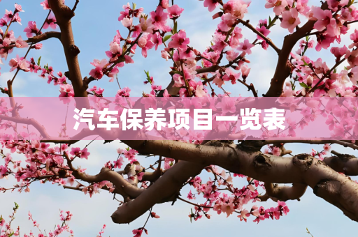 汽车保养项目一览表