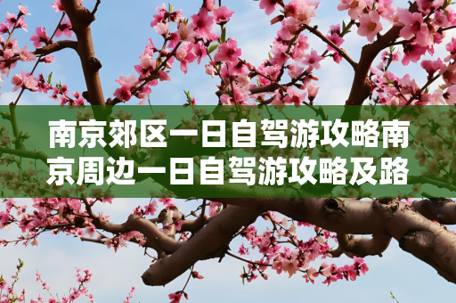 南京郊区一日自驾游攻略南京周边一日自驾游攻略及路线