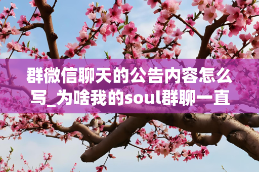 群微信聊天的公告内容怎么写_为啥我的soul群聊一直维护