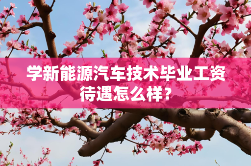 学新能源汽车技术毕业工资待遇怎么样？