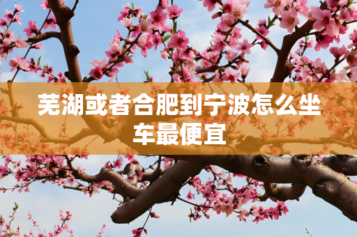 芜湖或者合肥到宁波怎么坐车最便宜