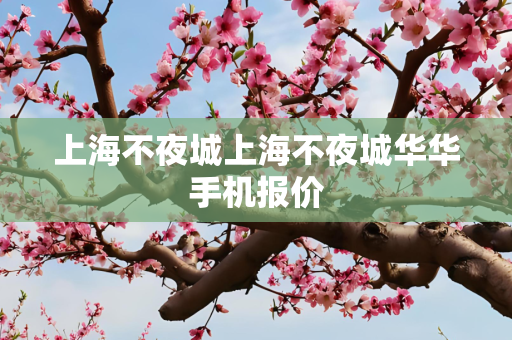 上海不夜城上海不夜城华华手机报价