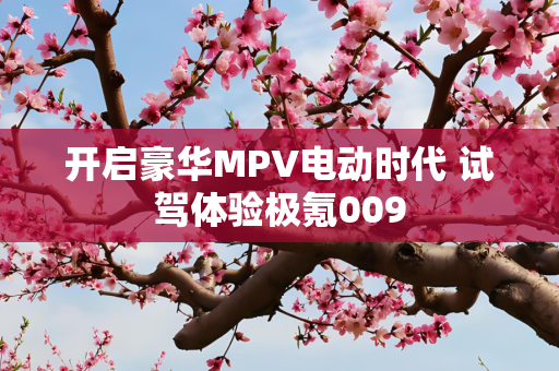 开启豪华MPV电动时代 试驾体验极氪009