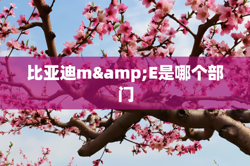 比亚迪m&E是哪个部门