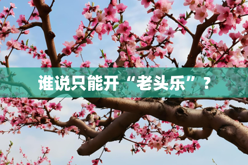 谁说只能开“老头乐”？