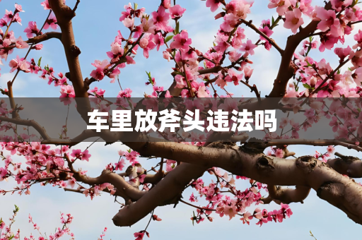 车里放斧头违法吗