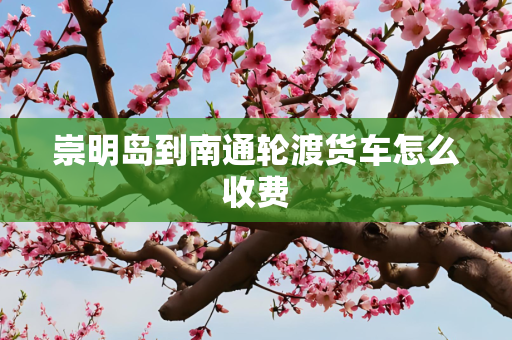 崇明岛到南通轮渡货车怎么收费