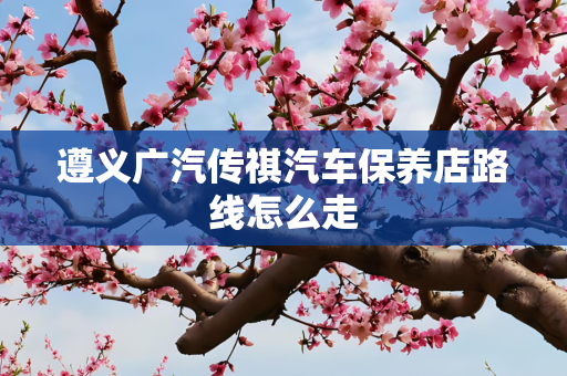 遵义广汽传祺汽车保养店路线怎么走