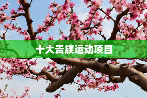 十大贵族运动项目