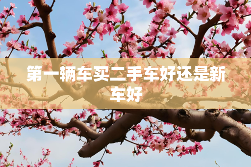 第一辆车买二手车好还是新车好