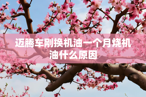 迈腾车刚换机油一个月烧机油什么原因