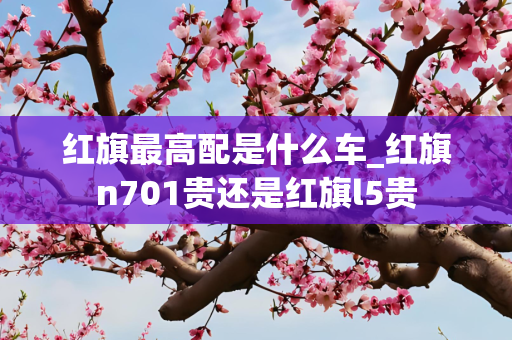 红旗最高配是什么车_红旗n701贵还是红旗l5贵