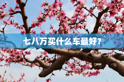七八万买什么车最好？
