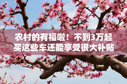 农村的有福啦！不到3万起买这些车还能享受很大补贴！