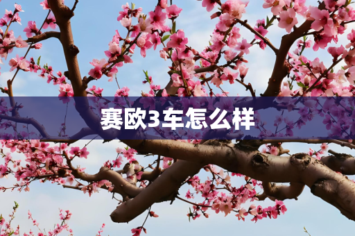 赛欧3车怎么样