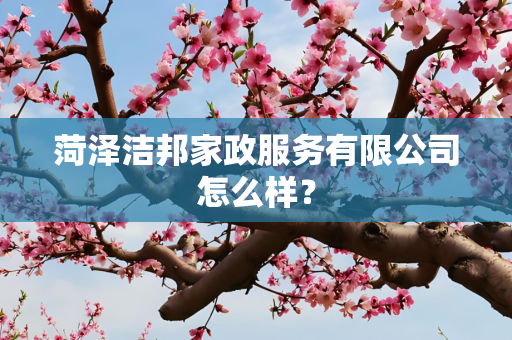 菏泽洁邦家政服务有限公司怎么样？